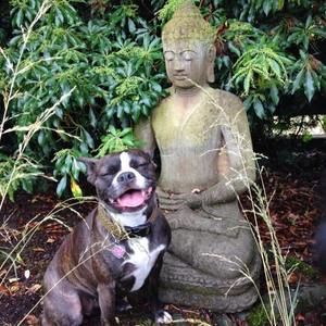 Meet your Posher, Dawn